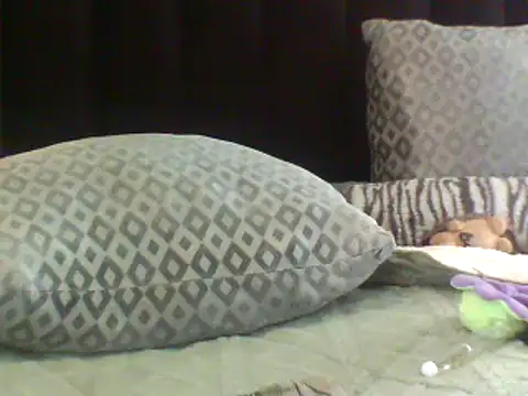 SexxyBoob live cam on StripChat