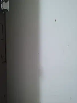 Cute_Kavya7