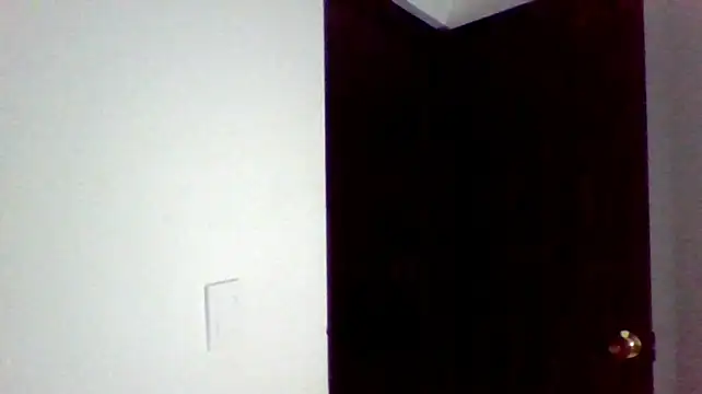 Kenner_fox77