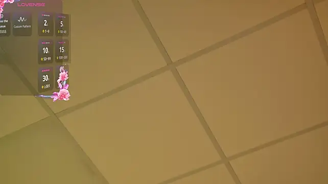 FlexyFox live webcam