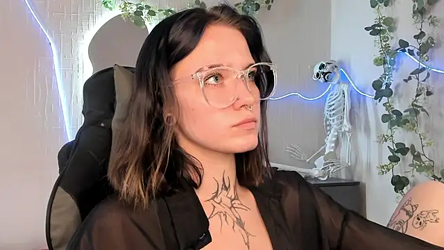 Elastikisss live webcam