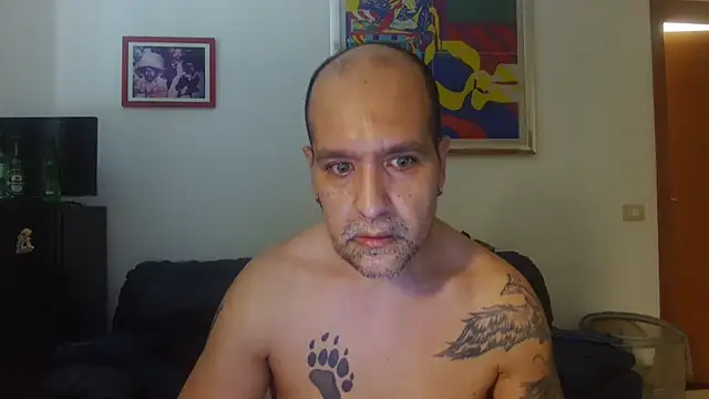 AMIRDIB2025