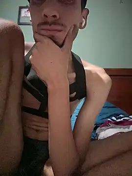 ElBratid webcam