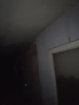 Bridgette03