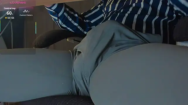 BulgeArt webcam