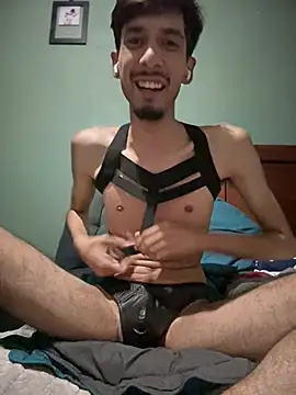 ElBratid webcam