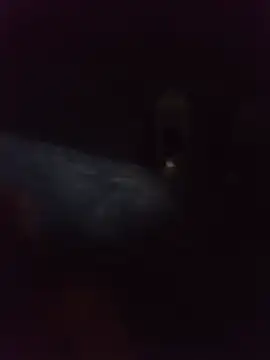 pornoxxxes webcam
