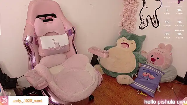 Nami_usagi webcam