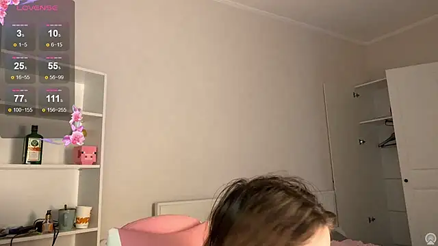 NessBarre webcam