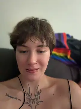 IceMur webcam