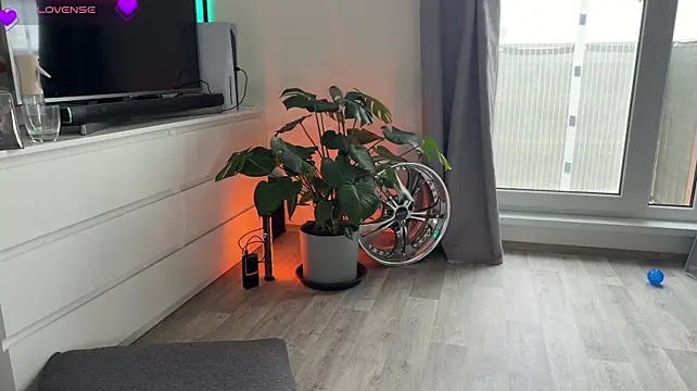 Dobbimood webcam