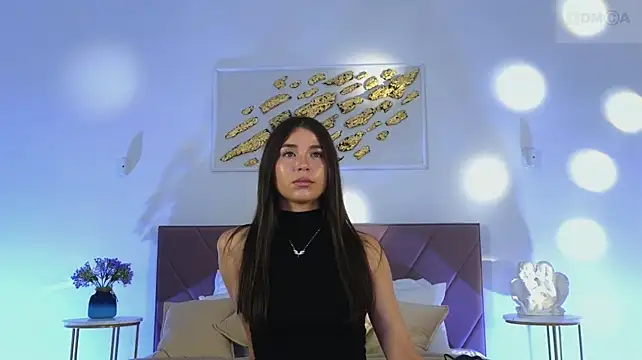 Vi_fi webcam