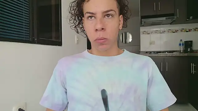 grey___27 webcam
