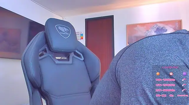 RJBarto webcam