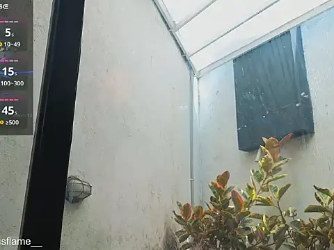 Venus_flame1 webcam