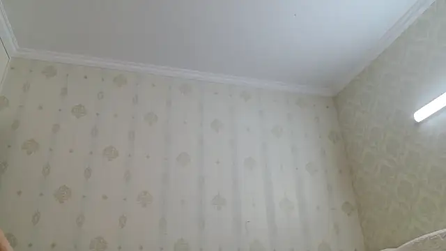 coco-LL webcam