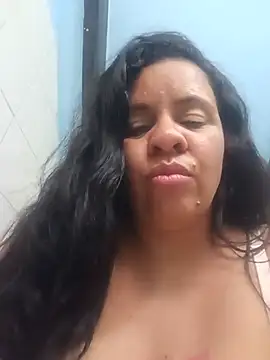 lapatronav2026 webcam