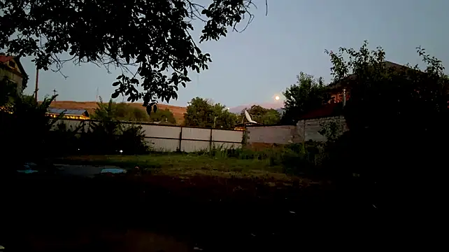 AlberthaBudd webcam
