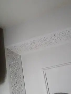 Demillvan webcam