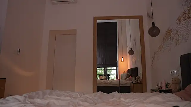 ibiddi webcam
