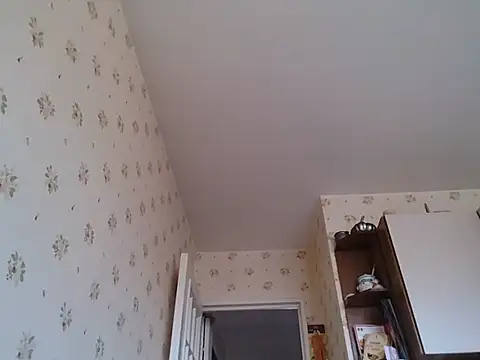 Perv10 live cam on StripChat