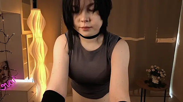 HirokoBard webcam