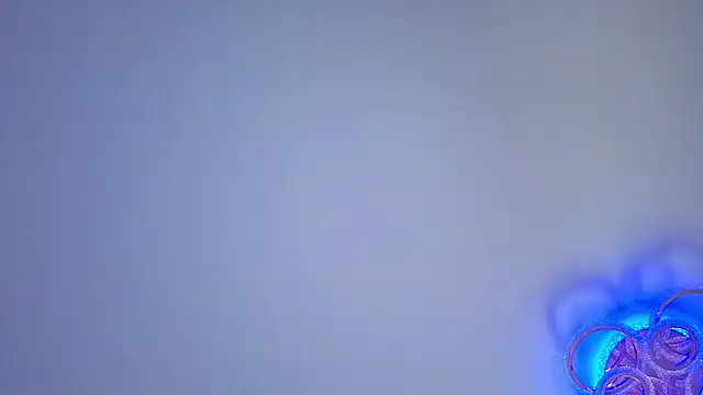 PerryKitty webcam
