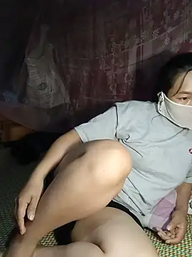 Hiha-nn webcam