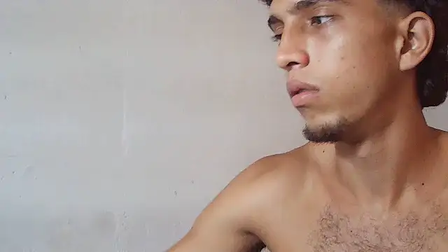 Noscay webcam