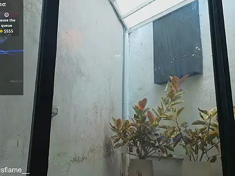 Venus_flame1 webcam