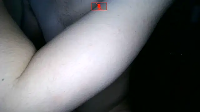 Hgay6935 webcam