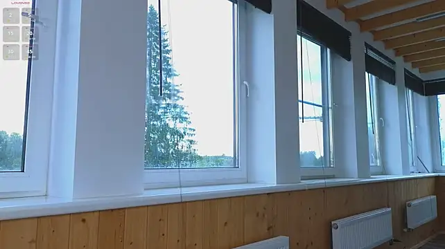 _Katie_Dierse webcam