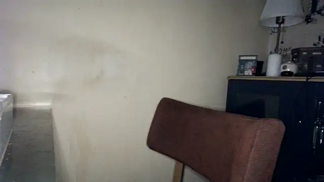 Hgay6935 webcam