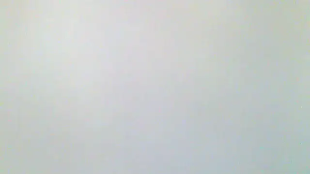 cynthia-sylvanna webcam