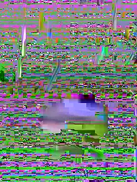 Pink_Kiss's live cam