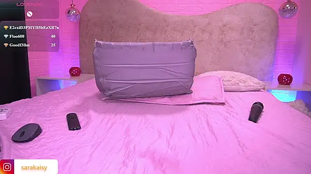sarakaisy webcam