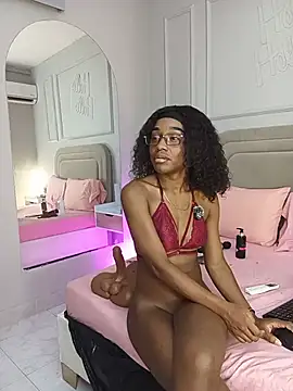 Liastarkk webcam