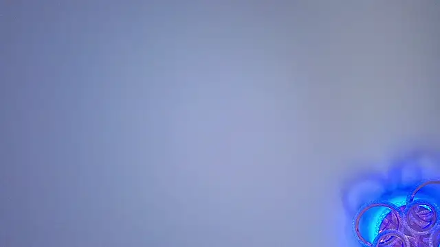PerryKitty webcam