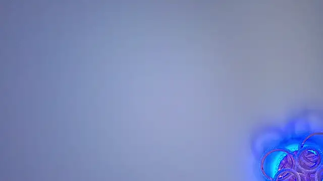 PerryKitty webcam