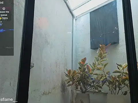 Venus_flame1 webcam
