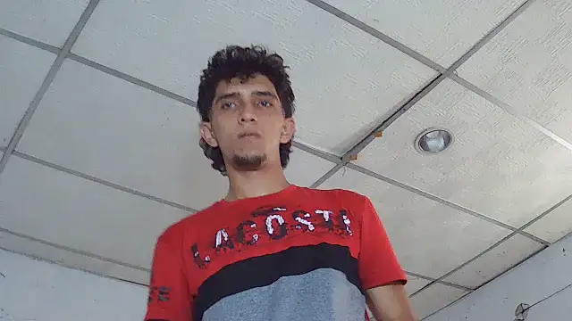 Noscay webcam
