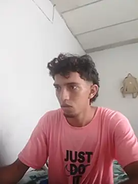 Noscay webcam