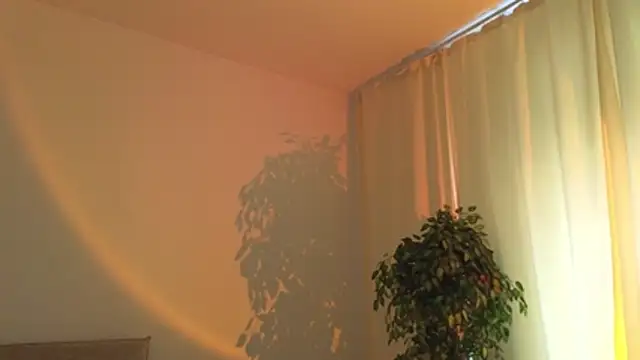 _Selestia_ webcam