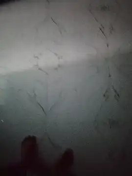 subhjann12 webcam