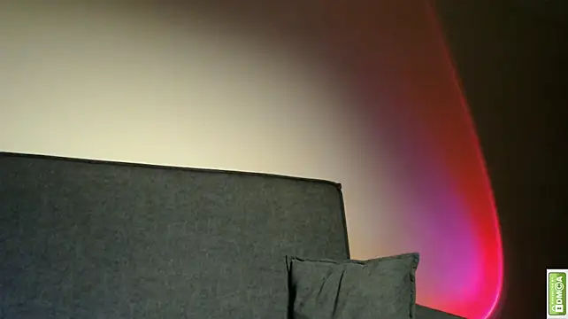 Arturswan webcam