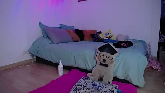 pom-purin