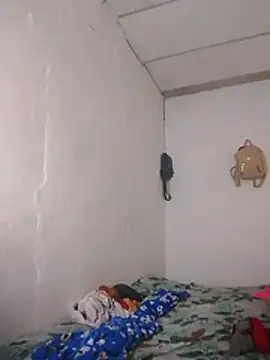 Noscay webcam