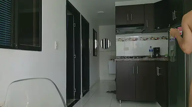 grey___27 webcam