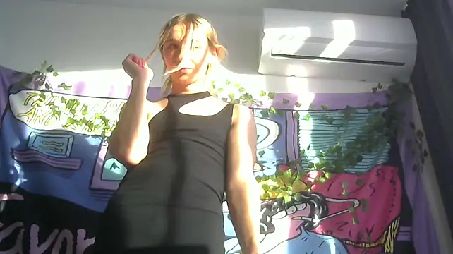 icebenz webcam