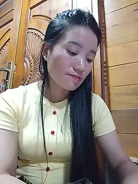 Td3di webcam